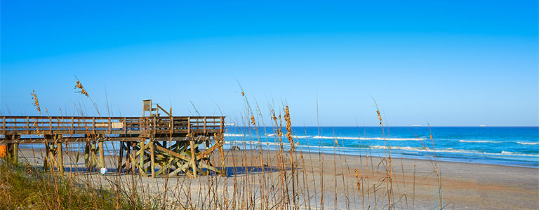 Some docks along the Florida coast.