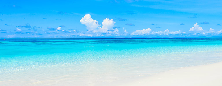 The white sands of the Florida coast.