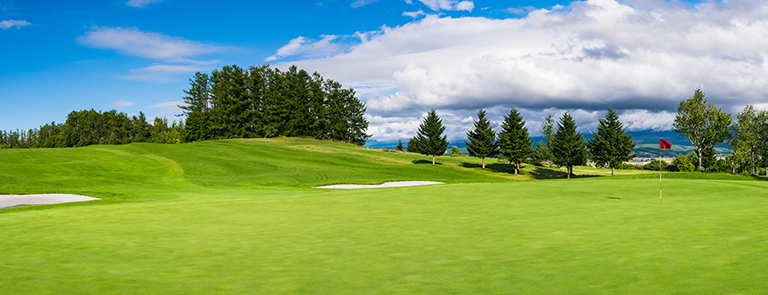 A green, hilly golf course.