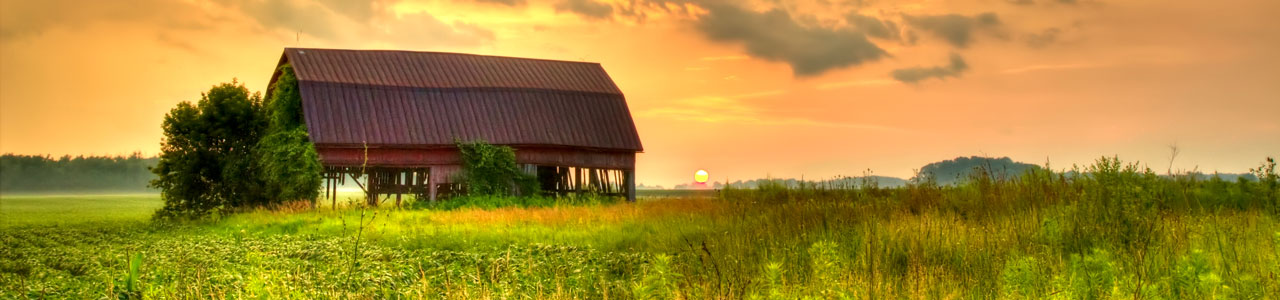 An old barn rests on a grassy field.