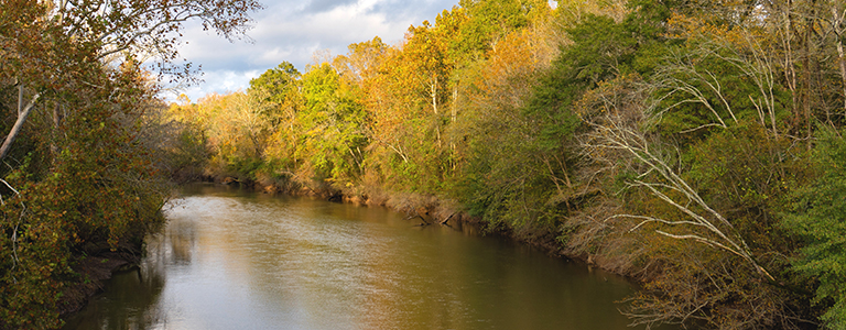 A river runs through a forest.