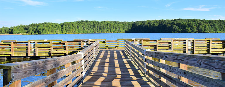 The view looking out from a wooden dock towards a river. The forested shoreline can be seen across the river.
