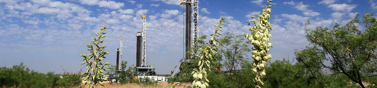 The oil derricks on the outskirts of Midland.