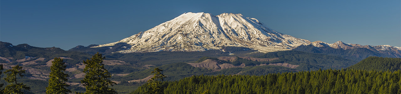 A landscape view of Mount Ranier.