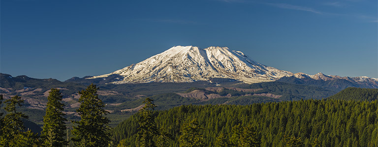 A landscape view of Mount Ranier.