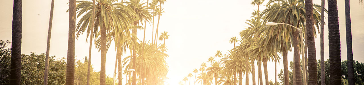 Two rows of palm trees line a street at sunset.